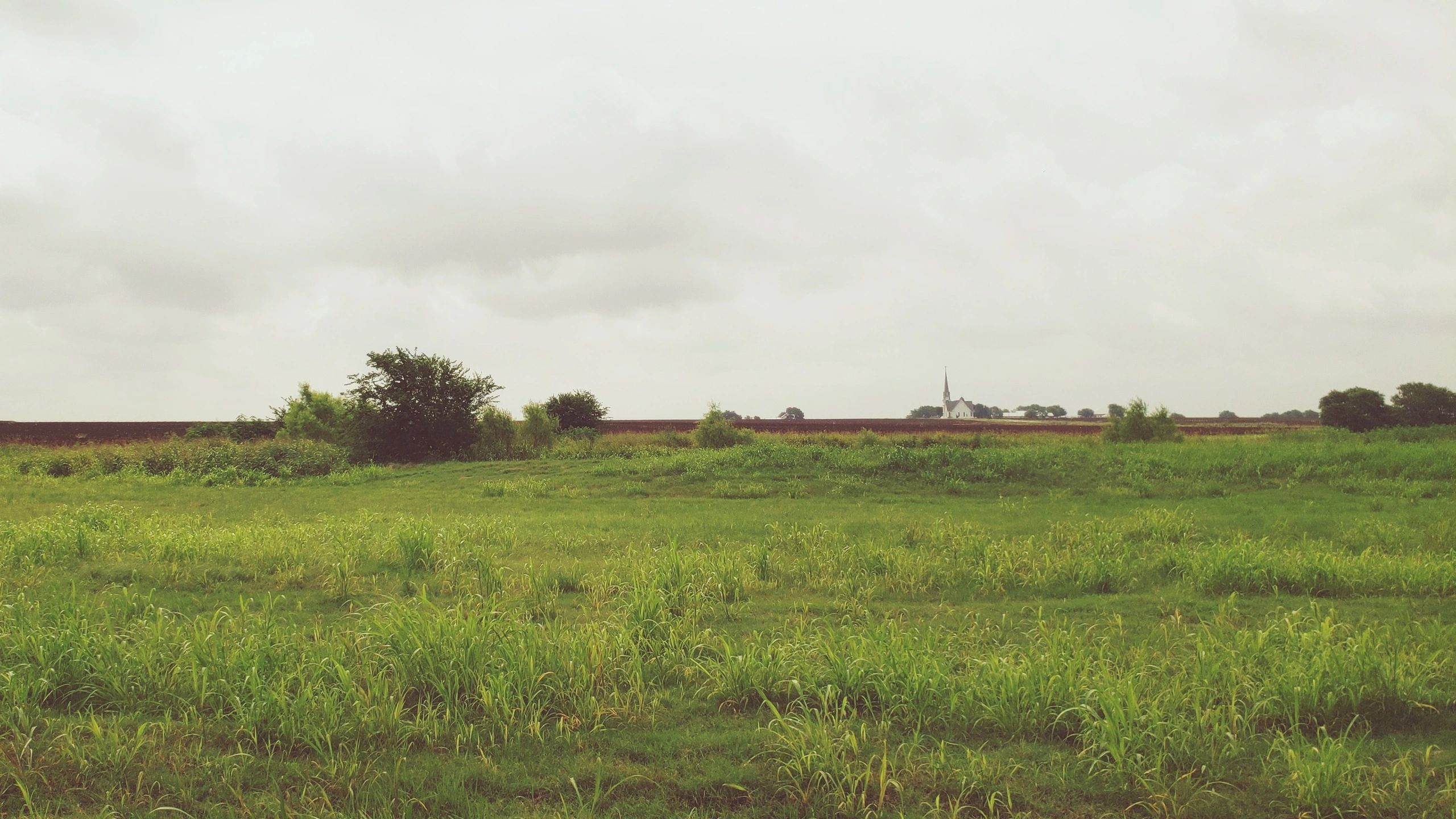 White rural church in an open countryside setting